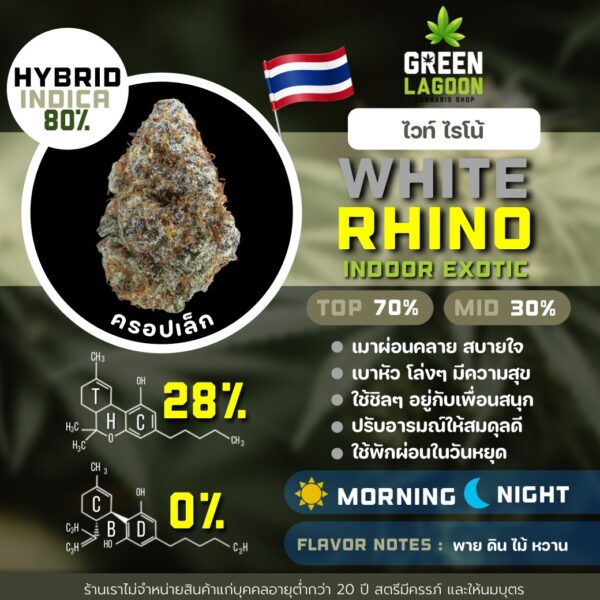 White rhino