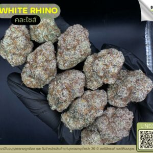 White rhino