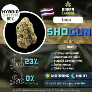 Shogun