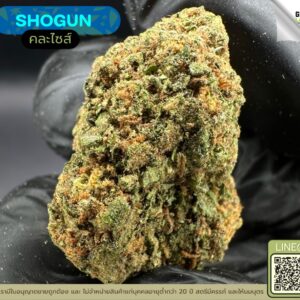 Shogun