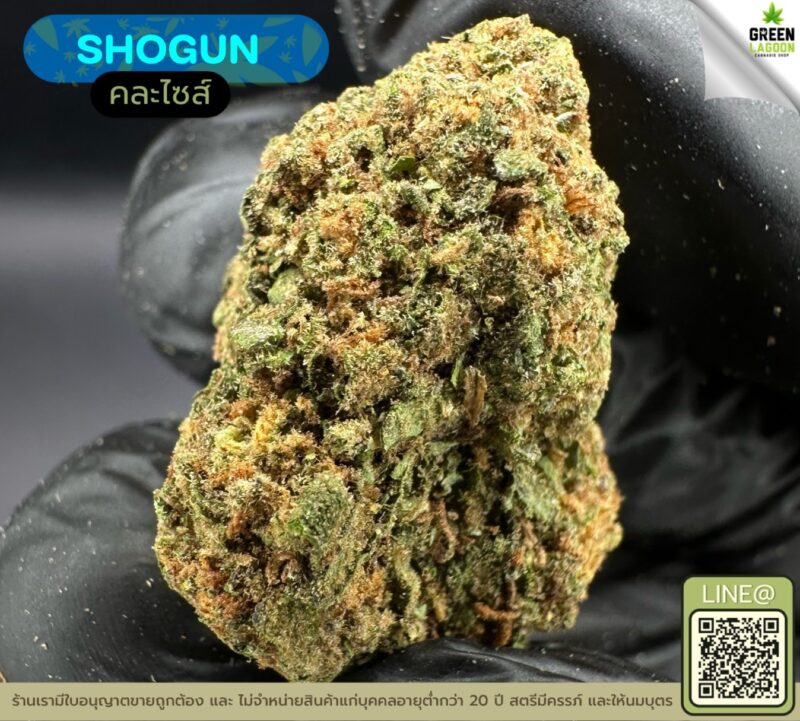 Shogun