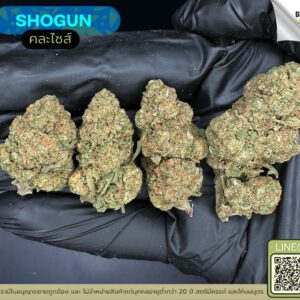 Shogun