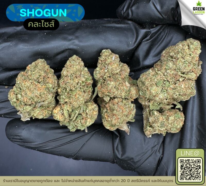 Shogun