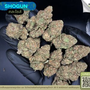 Shogun