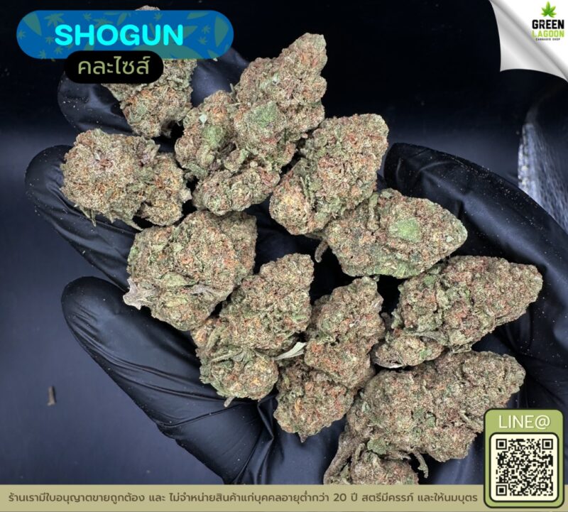 Shogun