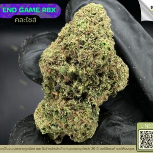 End game RBX