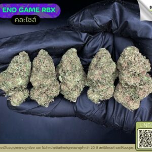 End game RBX