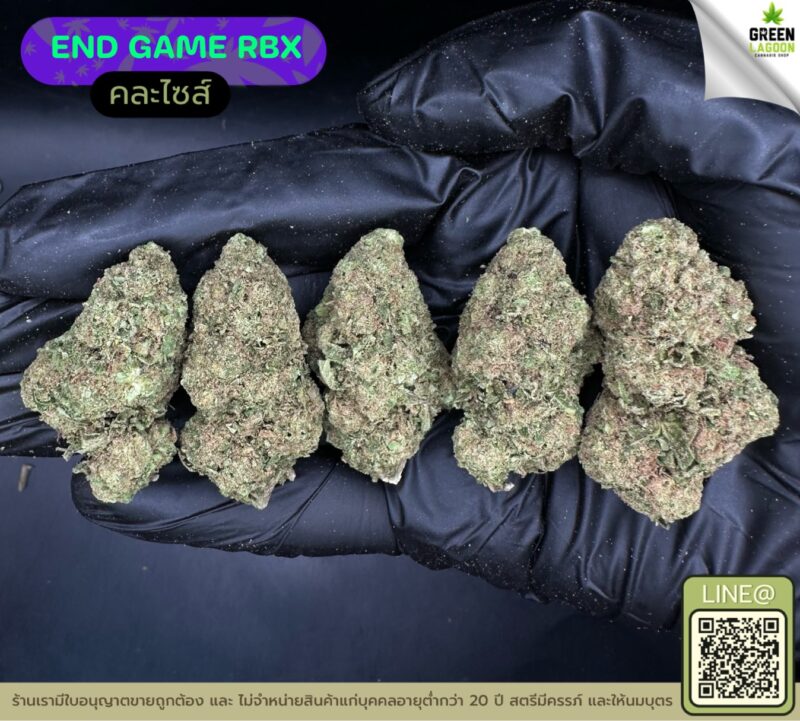 End game RBX
