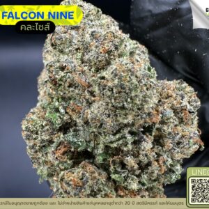 Falcon nine