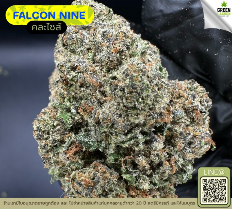 Falcon nine