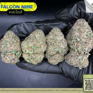 Falcon nine