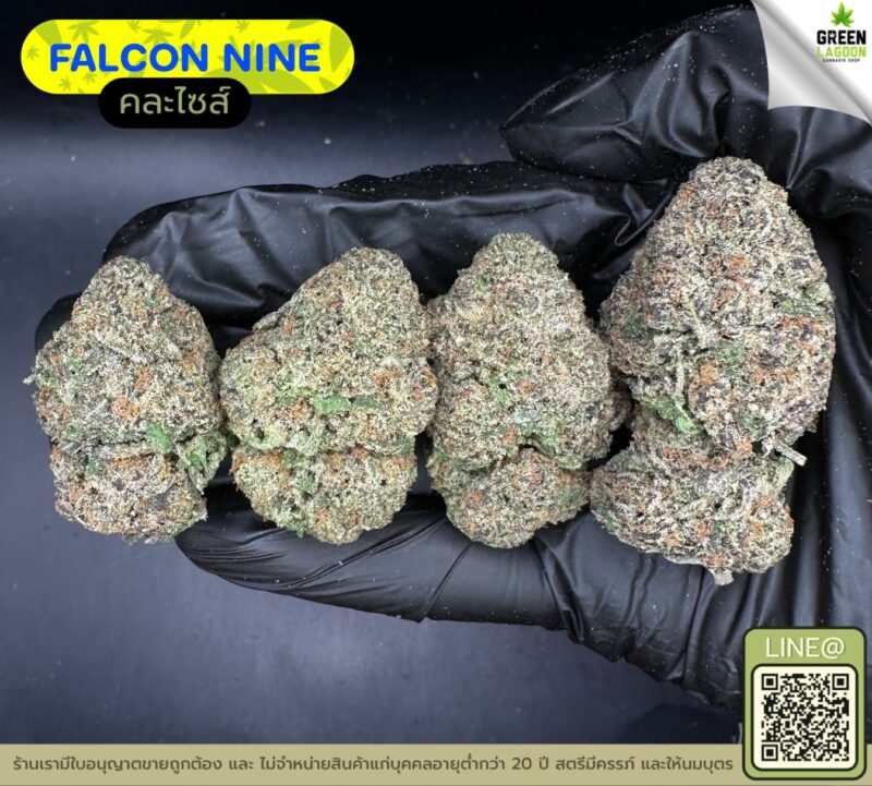 Falcon nine