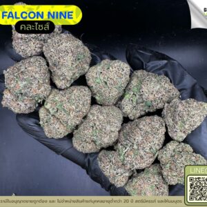 Falcon nine