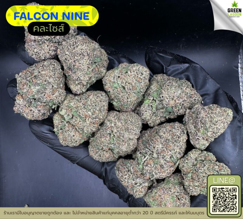 Falcon nine