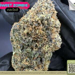Sweet zombie