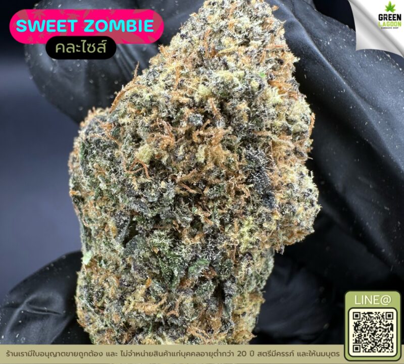 Sweet zombie