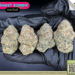 Sweet zombie