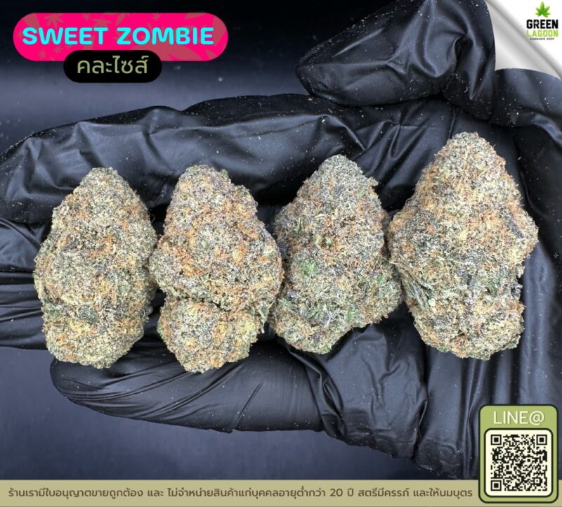 Sweet zombie