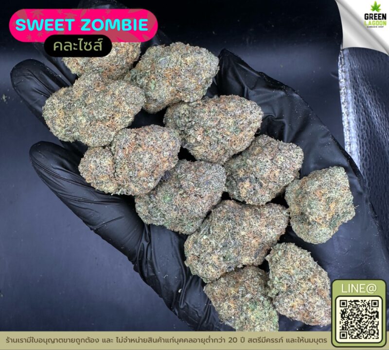 Sweet zombie