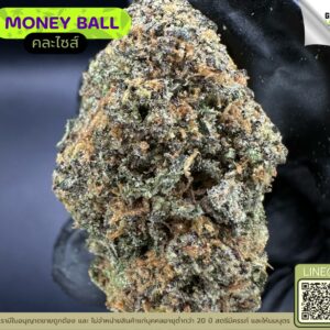 Money ball