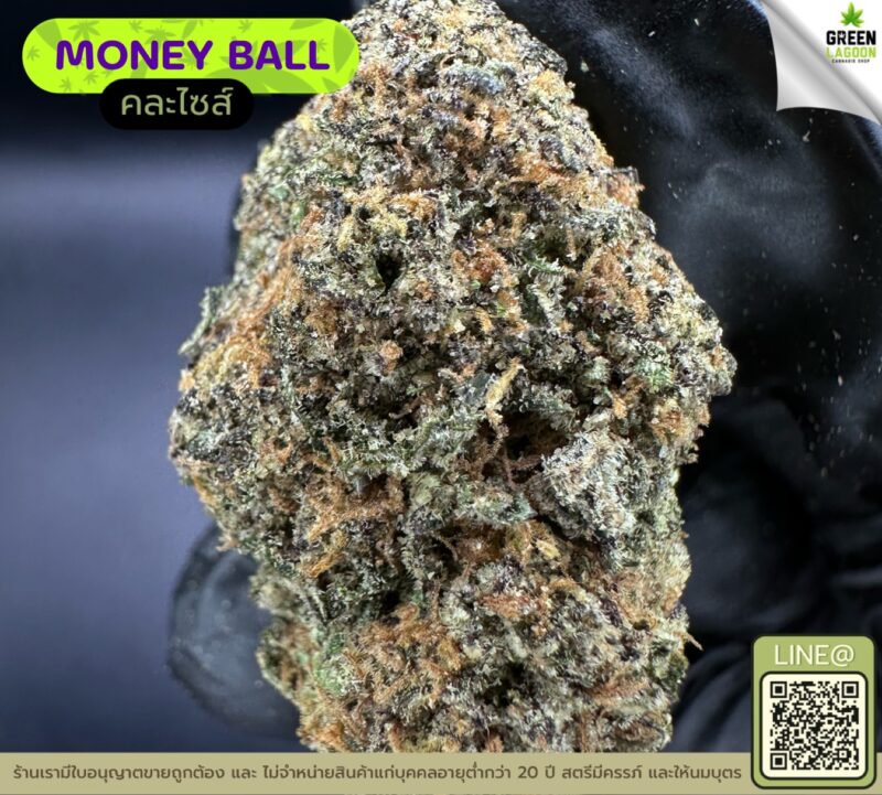 Money ball