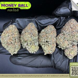Money ball