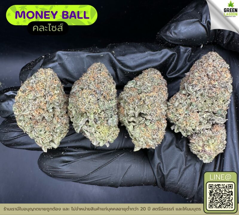 Money ball