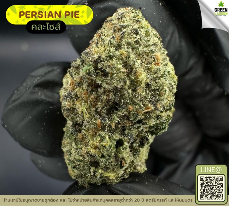 Persian pie