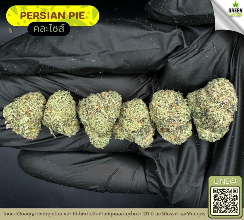 Persian pie