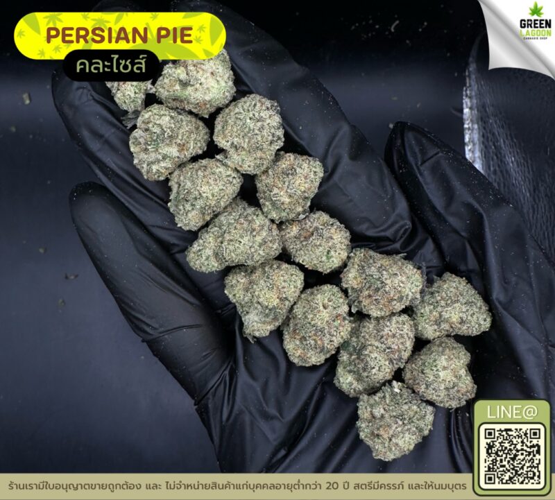 Persian pie
