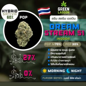 Dream stream S1