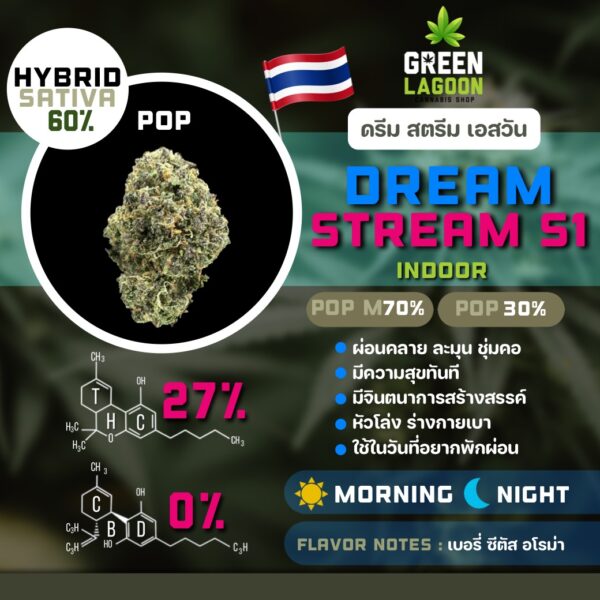 Dream stream S1