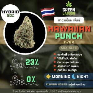 Hawaiian punch