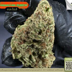 Hawaiian punch