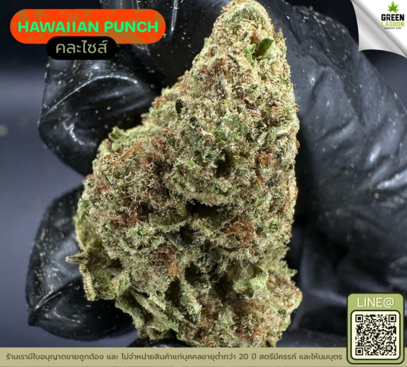 Hawaiian punch