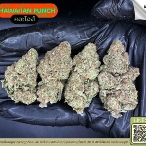 Hawaiian punch
