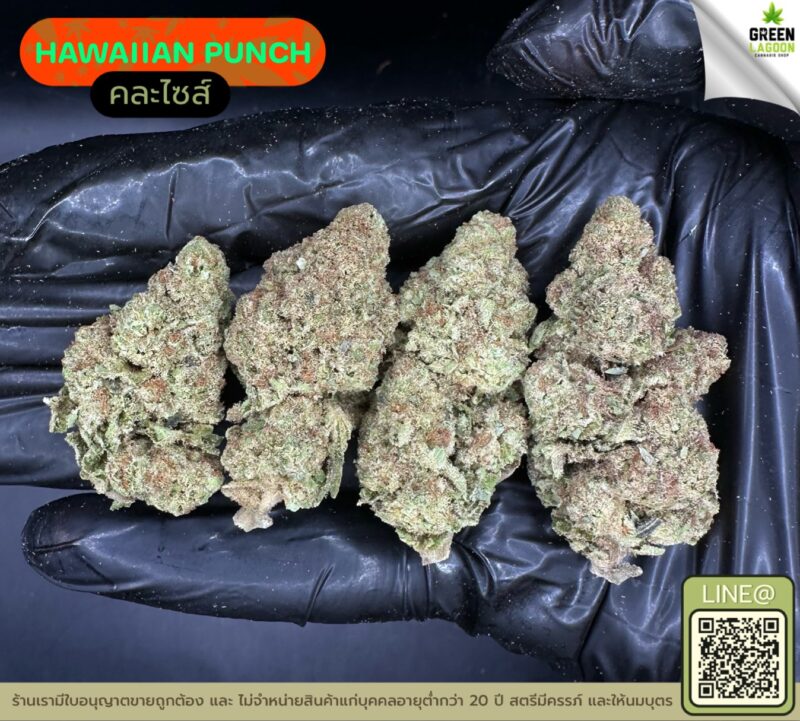 Hawaiian punch