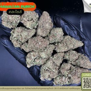 Hawaiian punch