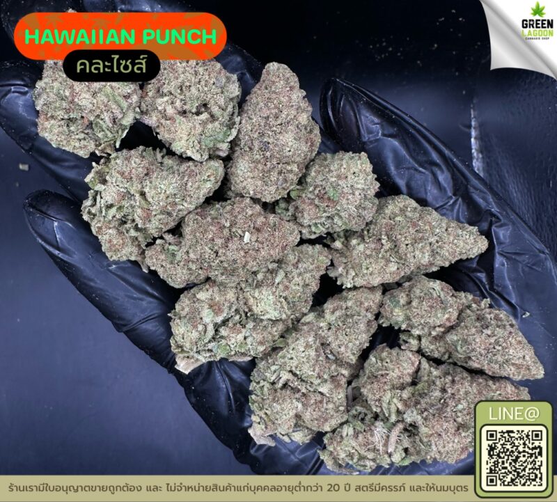 Hawaiian punch