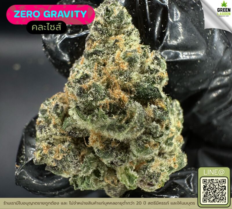 Zero gravity