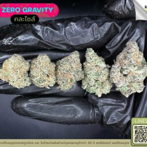 Zero gravity