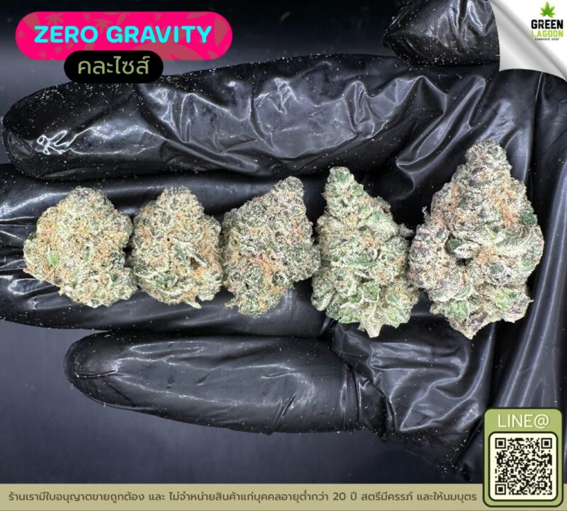 Zero gravity