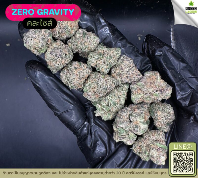 Zero gravity