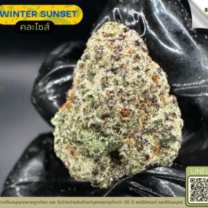 Winter sunset