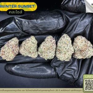 Winter sunset