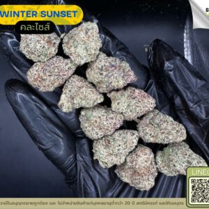 Winter sunset