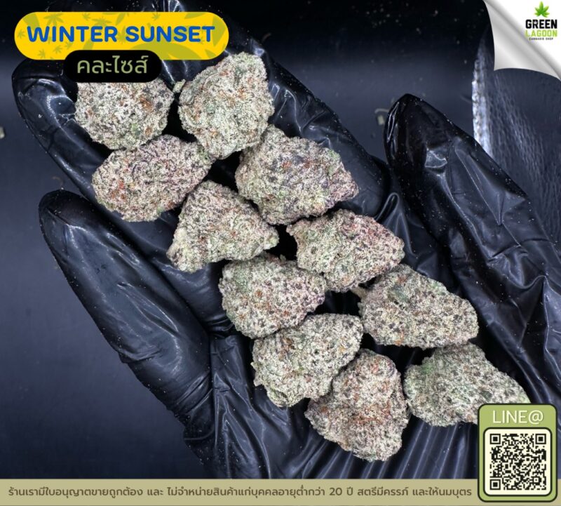 Winter sunset