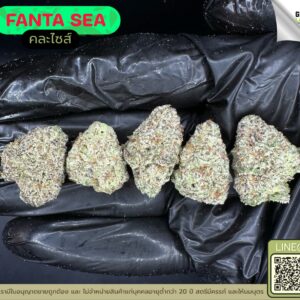 Fanta sea