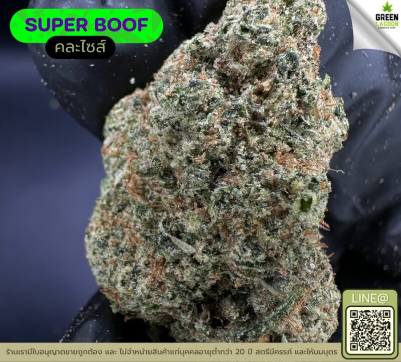 Super boof