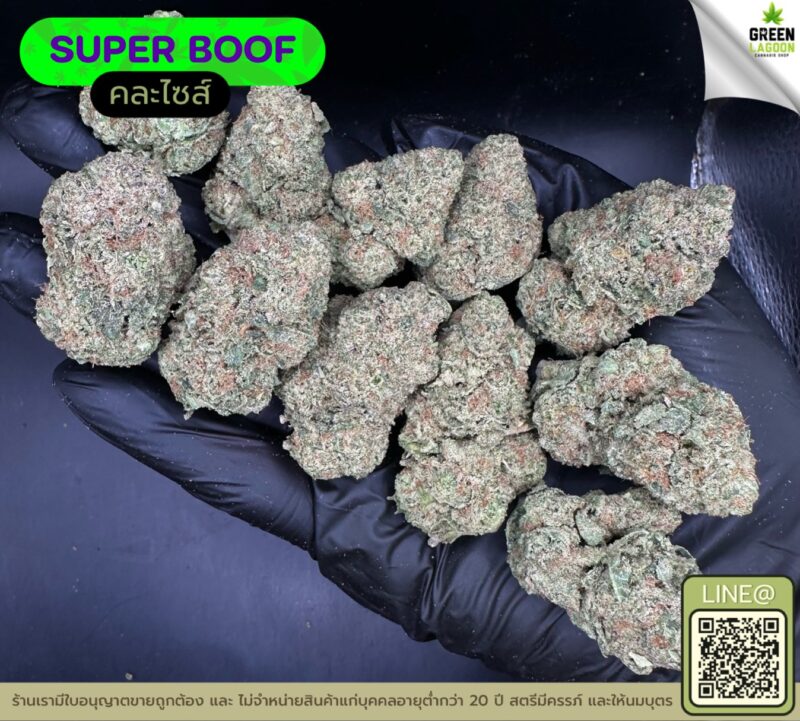 Super boof
